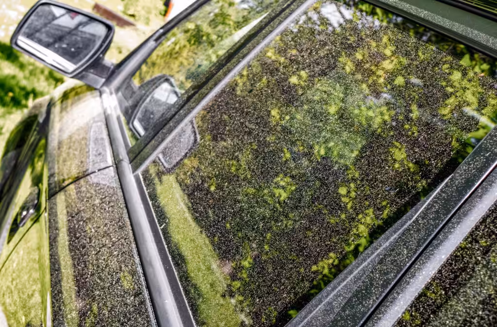 Spring Cleaning: Fighting Lingering Winter Grime & Pollen with Seasonal Car Detailing in Greenville